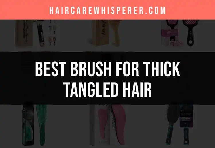 18 Best Brushes for Thick Tangled Hair